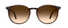Garrett Leight Morningside Sun