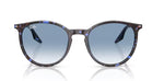 Ray Ban 2204