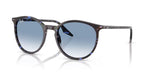 Ray Ban 2204