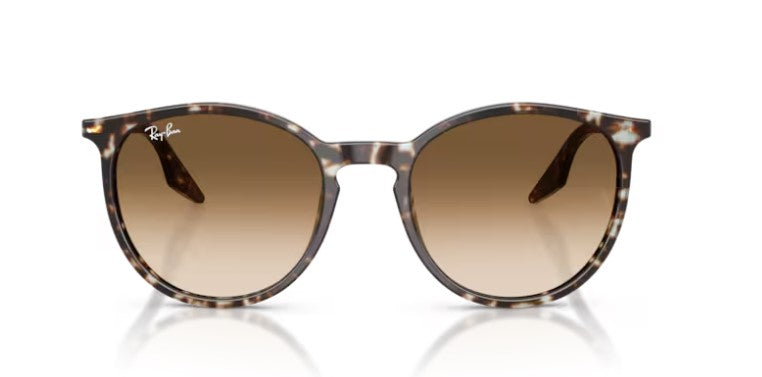 Ray Ban 2204