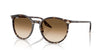 Ray Ban 2204