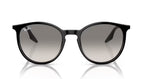 Ray Ban 2204