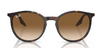 Ray Ban 2204