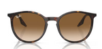 Ray Ban 2204