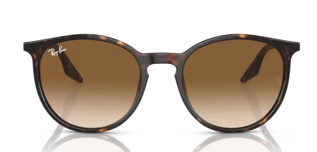 Ray Ban 2204