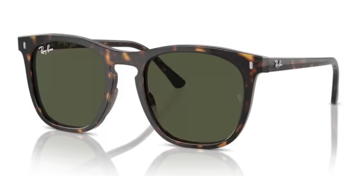 Ray Ban 2210