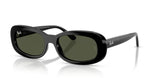 Ray Ban 2221