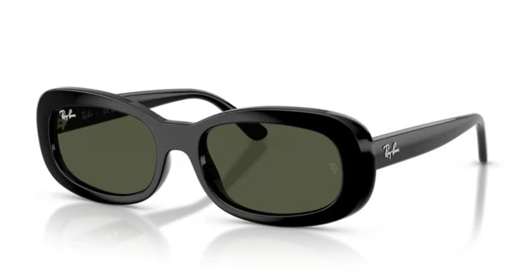 Ray Ban 2221