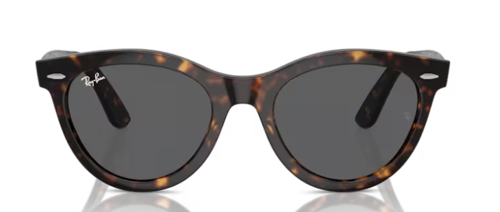 Ray Ban 2241 Wayfarer Way