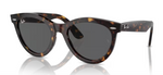 Ray Ban 2241 Wayfarer Way