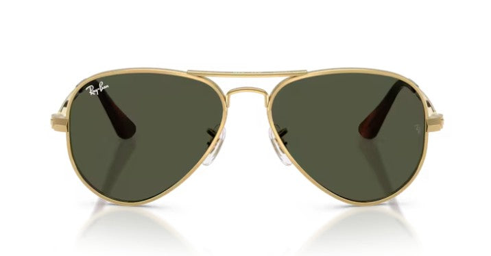 Ray Ban 3925 Aviator Max