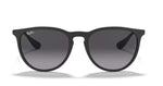 Ray Ban 4171 Erika
