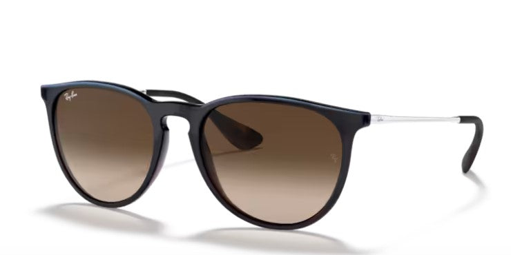 Ray Ban 4171 Erika