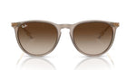 Ray Ban 4171 Erika