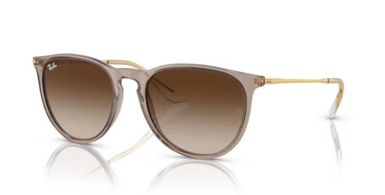Ray Ban 4171 Erika