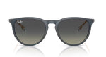 Ray Ban 4171 Erika