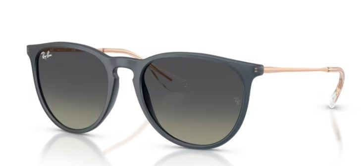 Ray Ban 4171 Erika