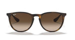 Ray Ban 4171 Erika