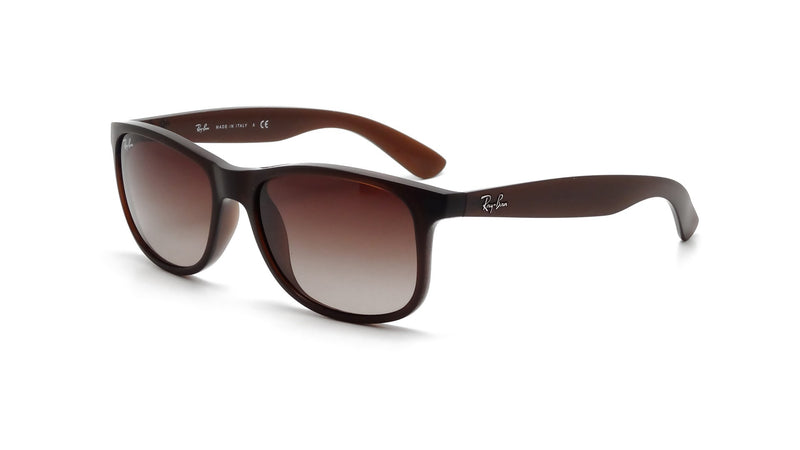 Ray Ban 4202 Andy