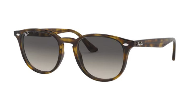 Ray Ban 4259