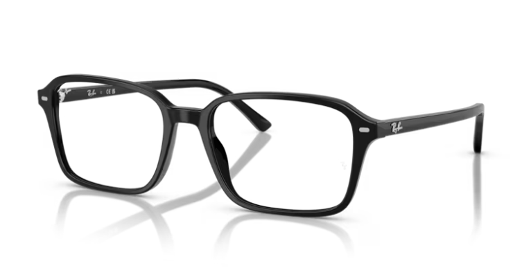 Ray Ban 5431 Raimond