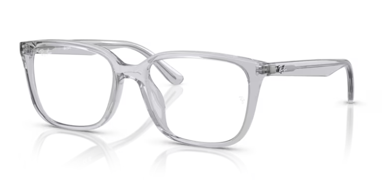 Ray Ban 7248D