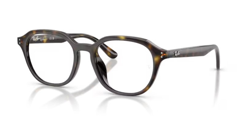 Ray Ban 7259D