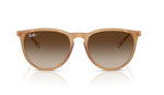 Ray Ban 4171 Erika