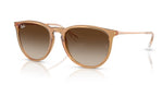 Ray Ban 4171 Erika