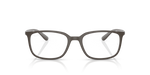 Ray Ban 7208