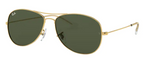 Ray Ban 3362 Cockpit