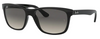 Ray Ban 4181