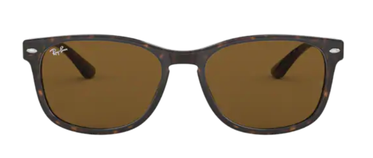 Ray Ban 2184