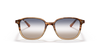 Ray Ban 2193
