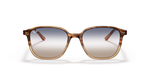 Ray Ban 2193