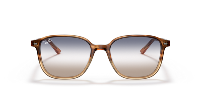 Ray Ban 2193