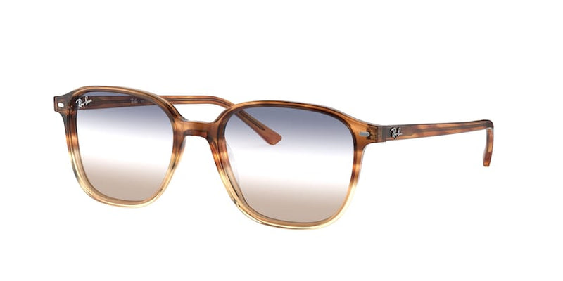 Ray Ban 2193