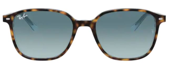 Ray Ban 2193