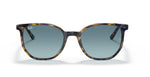 Ray Ban 2197 Elliot