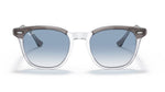 Ray Ban 2298