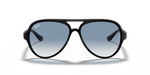 Ray Ban 4125 Cats 5000