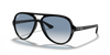 Ray Ban 4125 Cats 5000