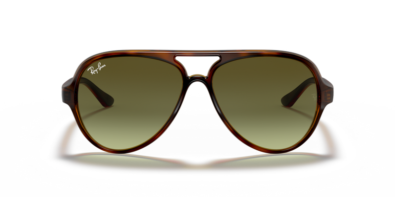 Ray Ban 4125 Cats 5000