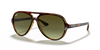 Ray Ban 4125 Cats 5000