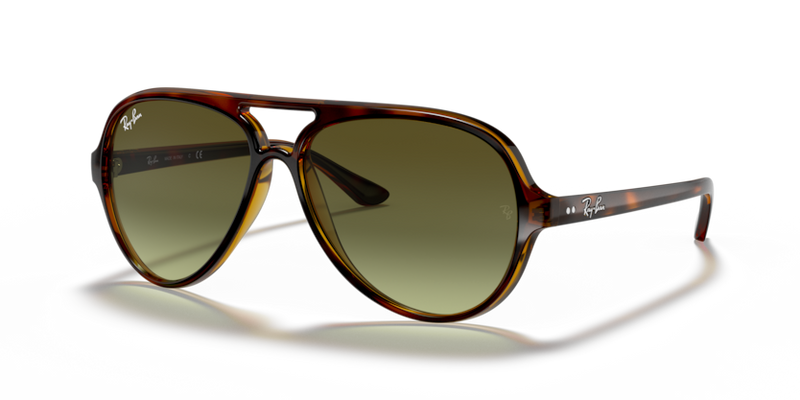 Ray Ban 4125 Cats 5000