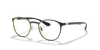 Ray Ban 6355