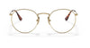 Ray Ban 8247V Titanium